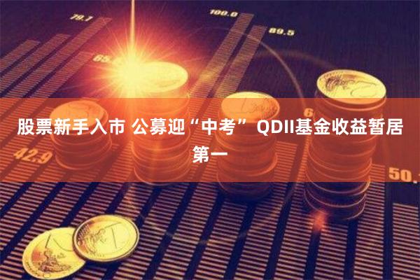 股票新手入市 公募迎“中考” QDII基金收益暂居第一