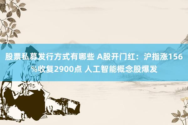 股票私募发行方式有哪些 A股开门红：沪指涨156%收复2900点 人工智能概念股爆发