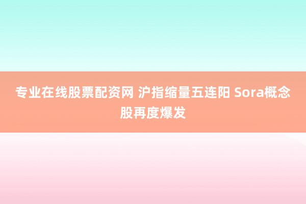 专业在线股票配资网 沪指缩量五连阳 Sora概念股再度爆发