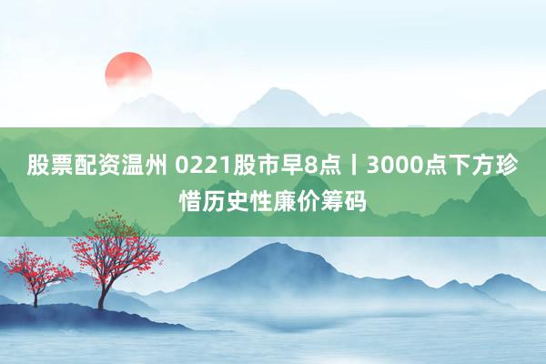 股票配资温州 0221股市早8点丨3000点下方珍惜历史性廉价筹码