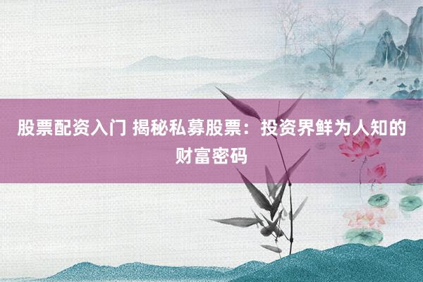 股票配资入门 揭秘私募股票：投资界鲜为人知的财富密码